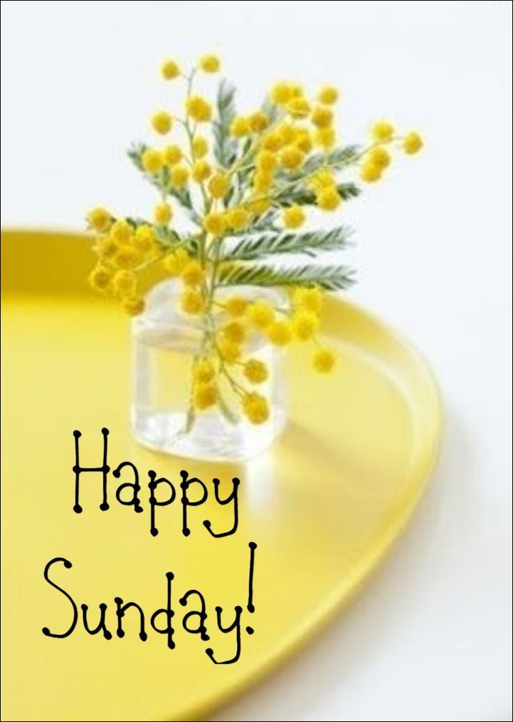 happy-sunday-images-hd happy-sunday-images-hd