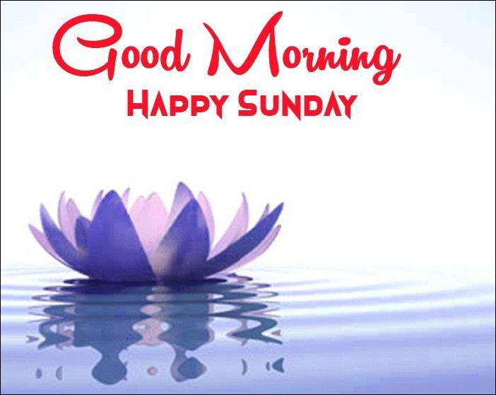 happy-sunday-images-hd happy-sunday-images-hd