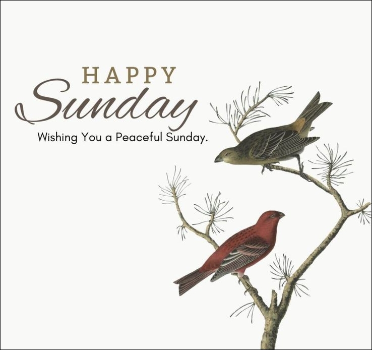 happy-sunday-images-hd happy-sunday-images-hd