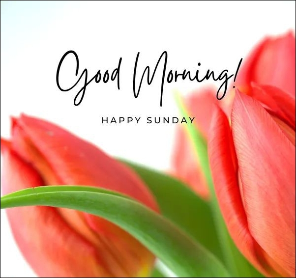 happy-sunday-images-hd happy-sunday-images-hd