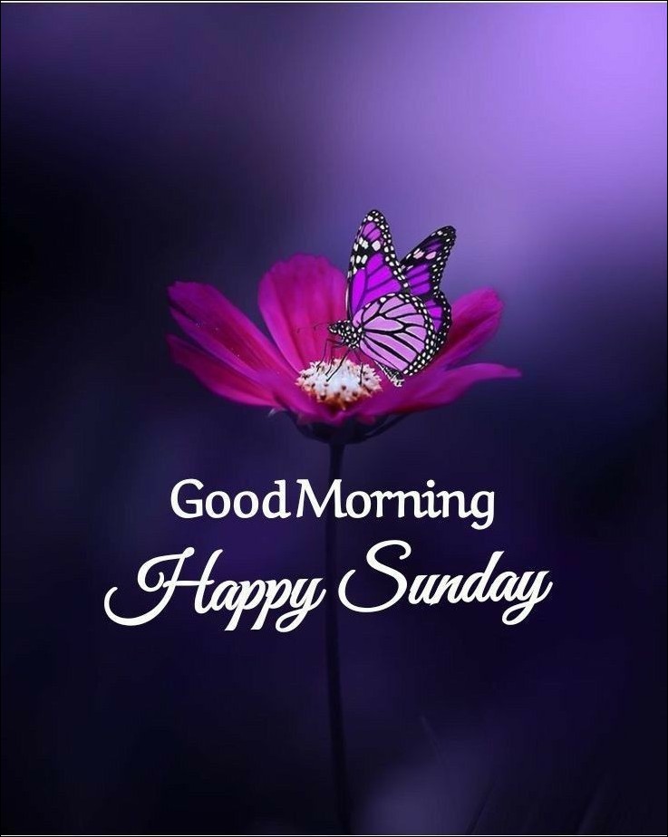 happy-sunday-images-hd happy-sunday-images-hd