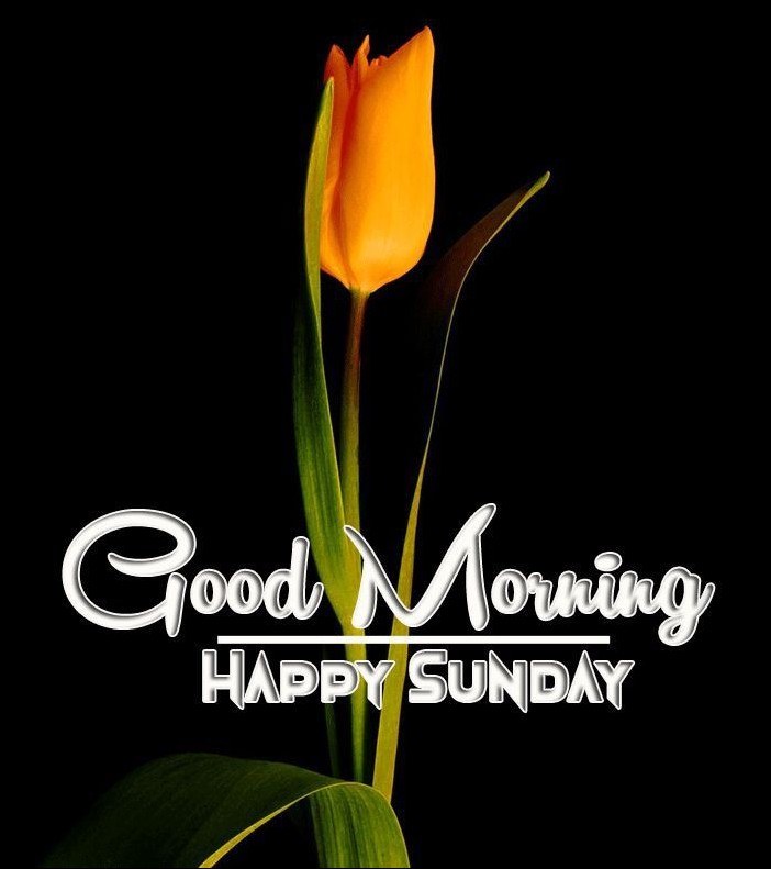 happy-sunday-images happy-sunday-images