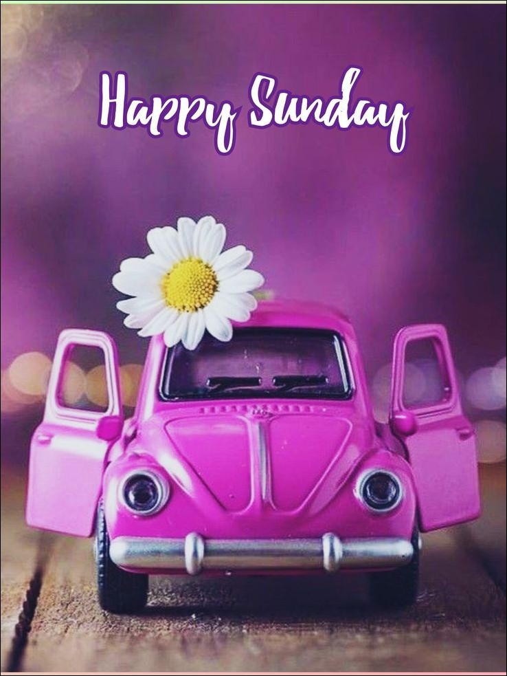 happy-sunday-images happy-sunday-images