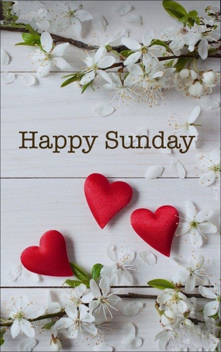 happy-sunday-images happy-sunday-images