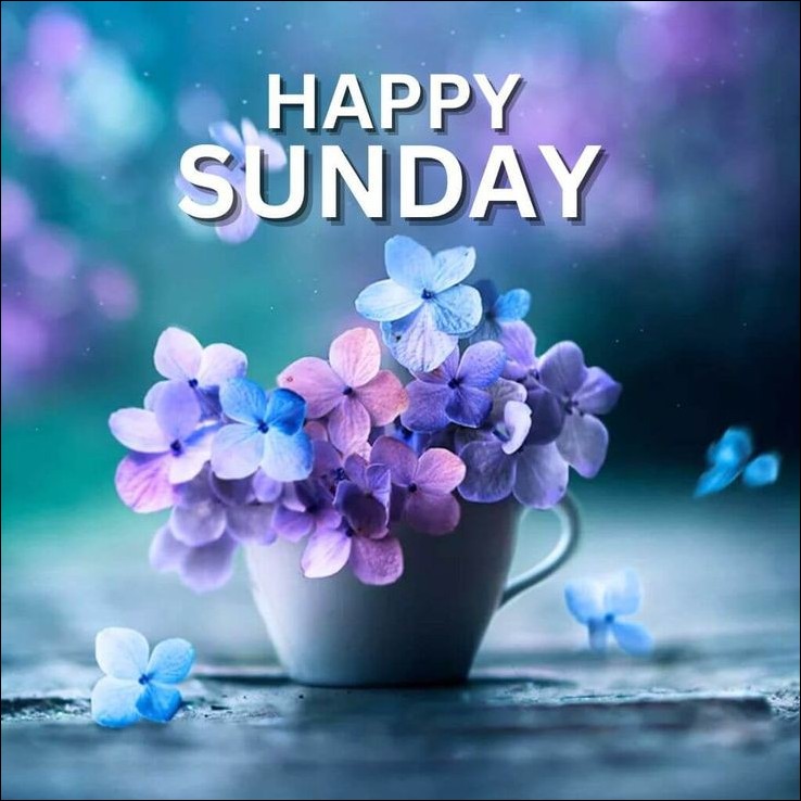 happy-sunday-images happy-sunday-images