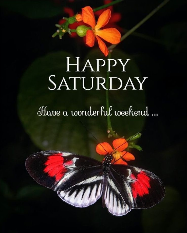 happy-sunday-images happy-sunday-images