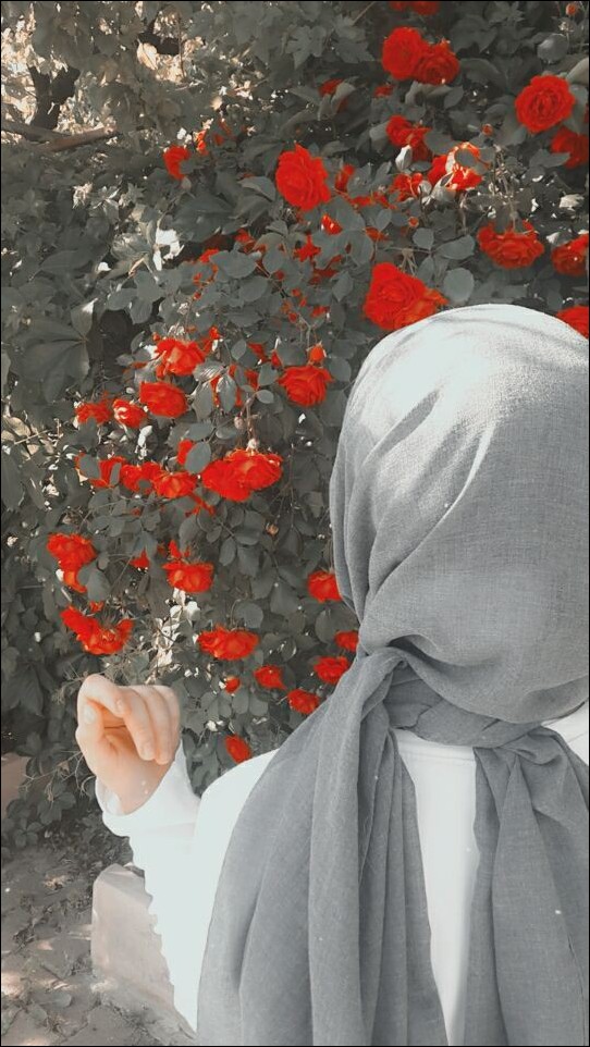 hijab-girl-dp hijab-girl-dp