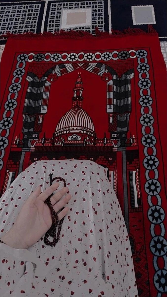 hijab-girl-dp hijab-girl-dp