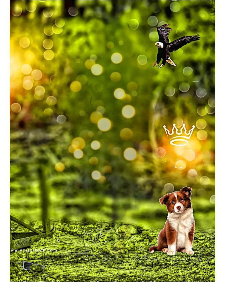 picsart-cb-background-hd picsart-cb-background-hd