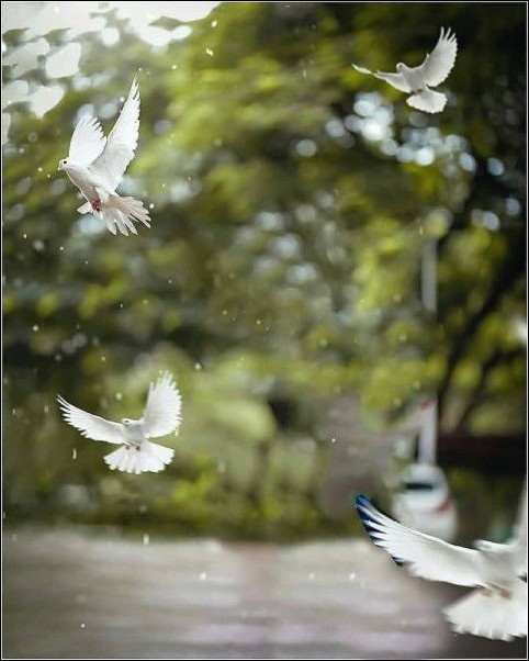 picsart-cb-background-hd picsart-cb-background-hd