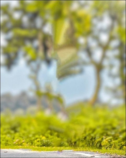picsart-cb-background-hd picsart-cb-background-hd