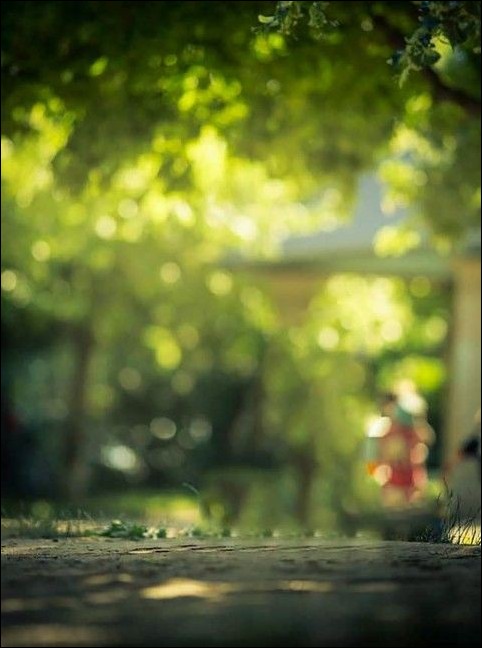 picsart-cb-background-hd picsart-cb-background-hd