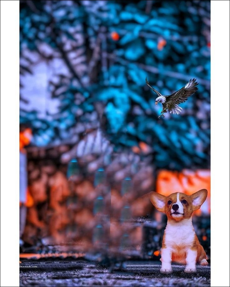picsart-cb-background-hd picsart-cb-background-hd