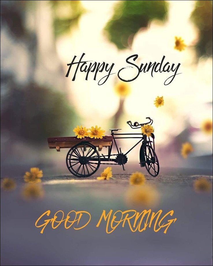 quote-happy-sunday-images quote-happy-sunday-images