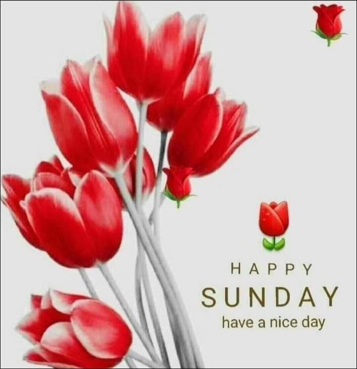 quote-happy-sunday-images quote-happy-sunday-images
