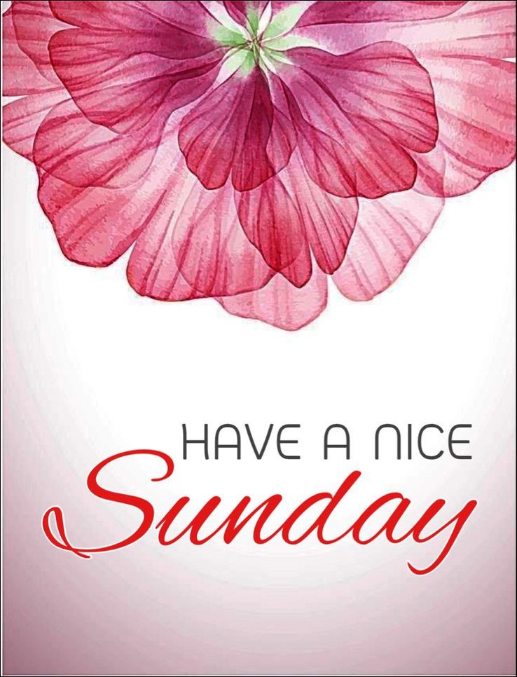 quote-happy-sunday-images quote-happy-sunday-images
