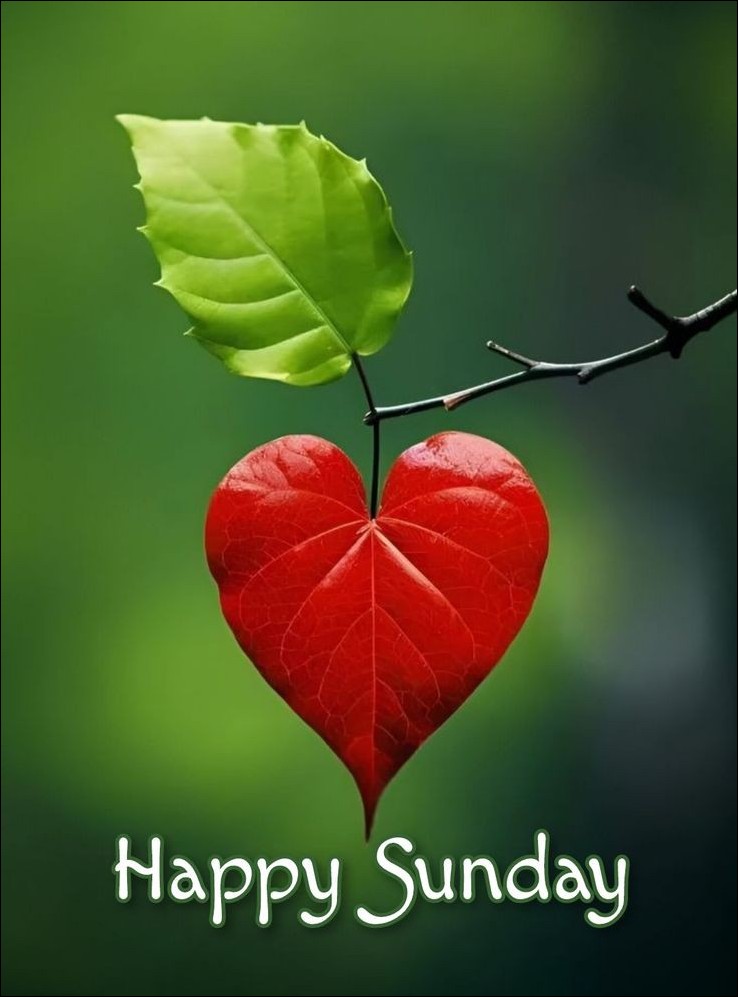 quote-happy-sunday-images quote-happy-sunday-images
