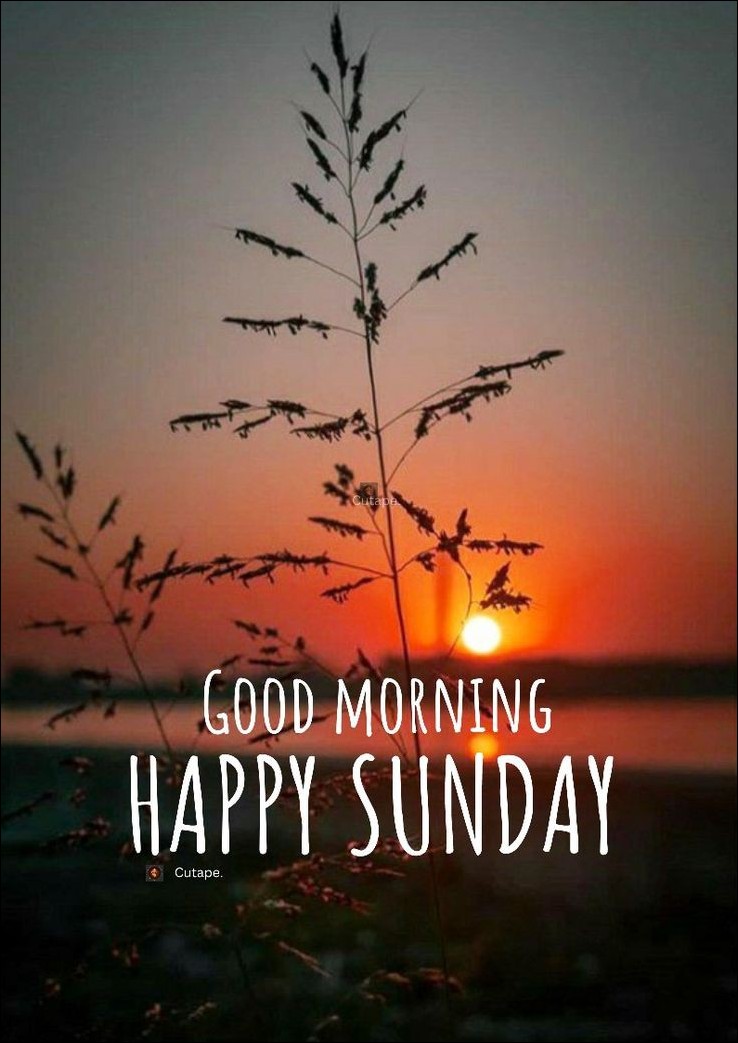 quote-happy-sunday-images quote-happy-sunday-images