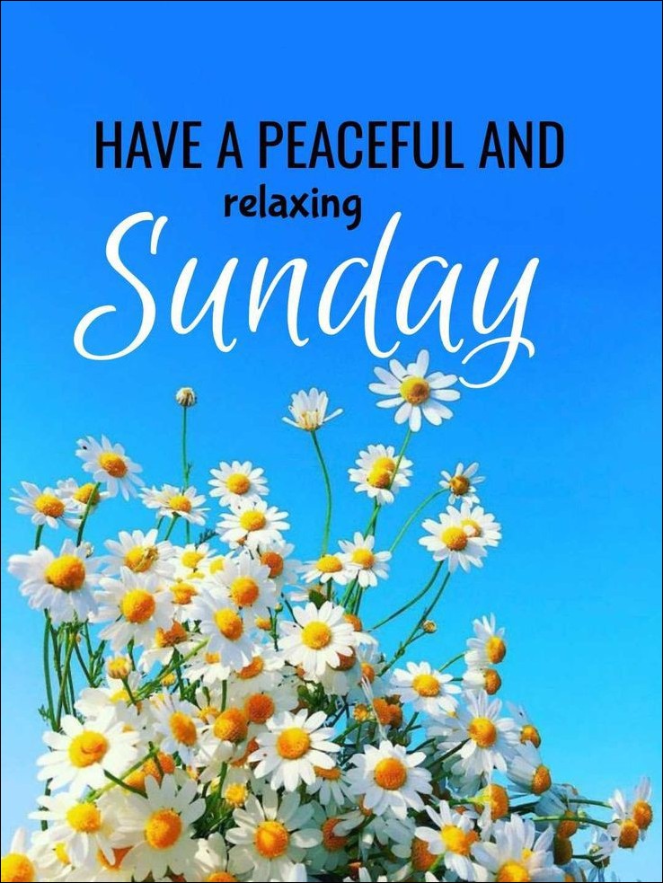 quote-happy-sunday-images quote-happy-sunday-images