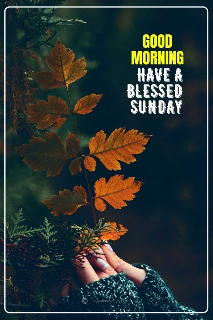 quote-happy-sunday-images quote-happy-sunday-images