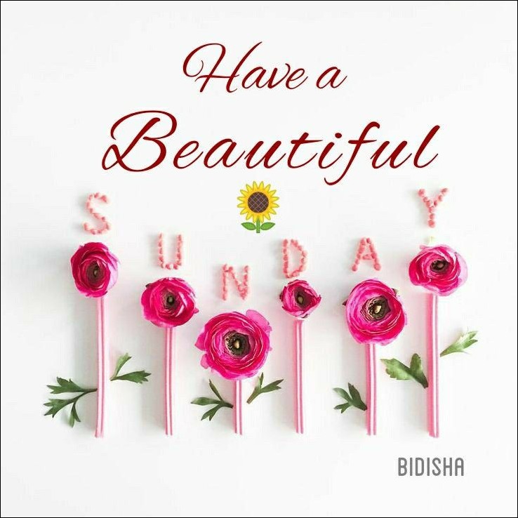 quote-happy-sunday-images quote-happy-sunday-images