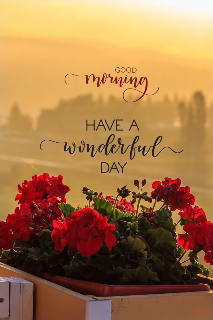 quote-happy-sunday-images quote-happy-sunday-images