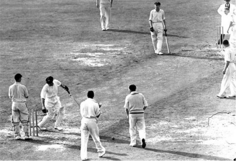 Cricket