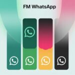 Color Customization Features in FM WhatsApp