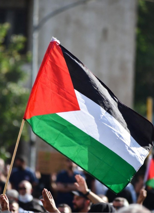 Palestine Flag Dp
