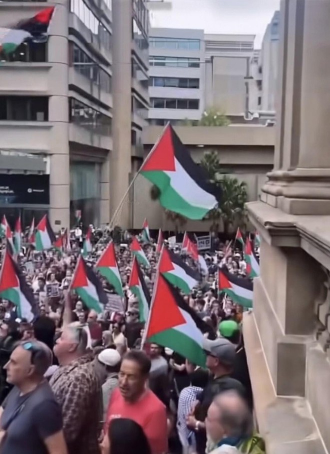Palestine Flag Dp