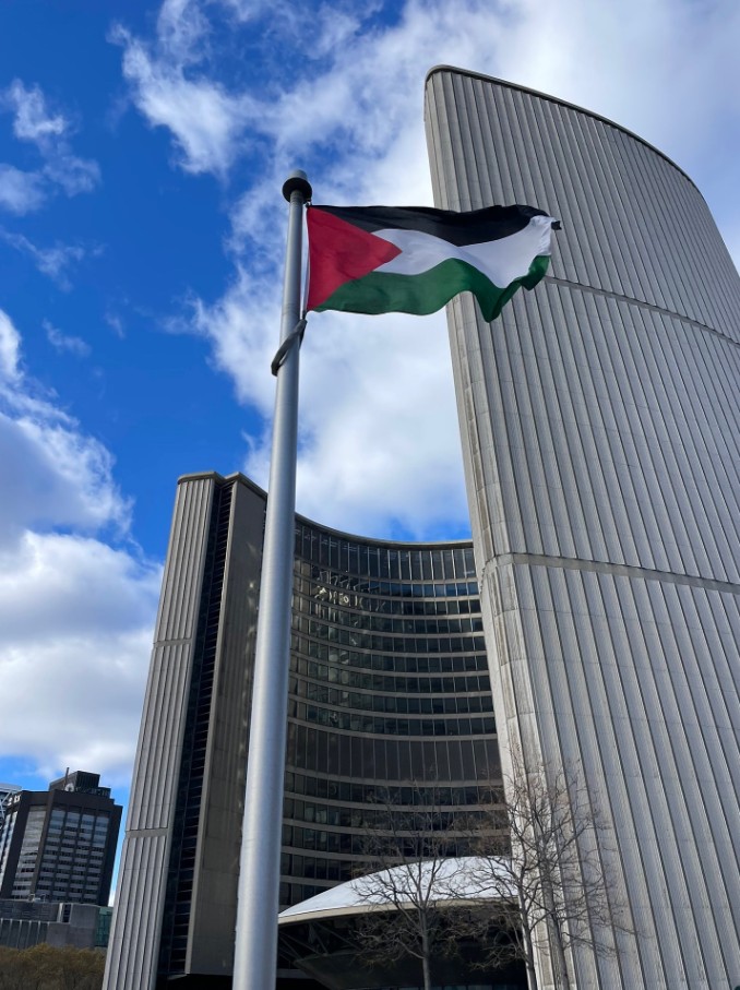 Palestine Flag Dp