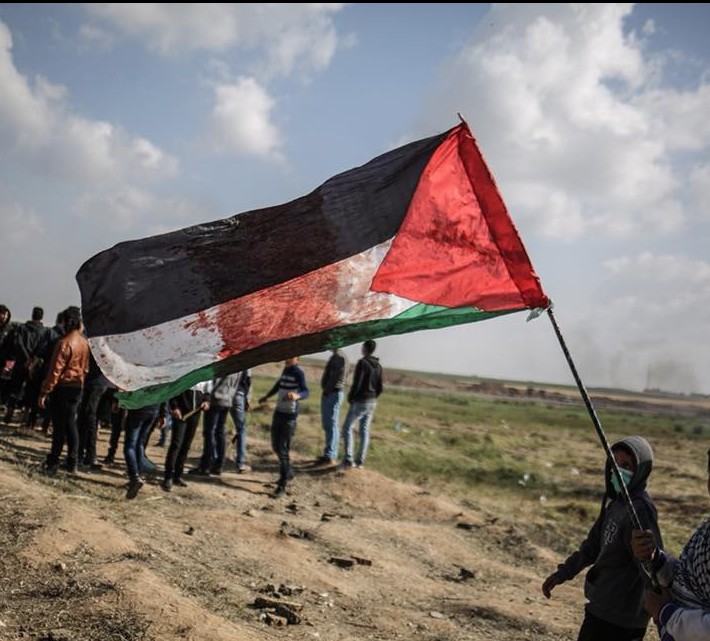 Palestine Flag Dp