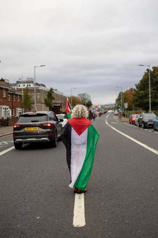 Palestine Flag Dp
