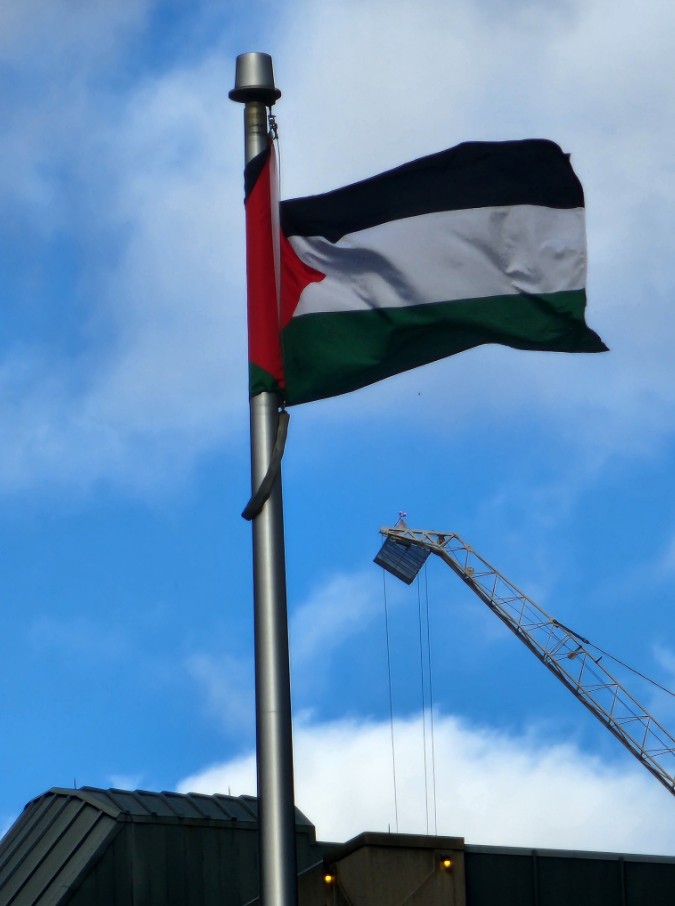 Palestine Flag Dp