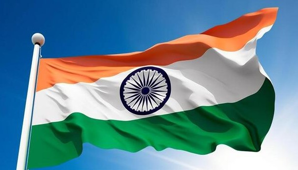 Indian Flag Dp