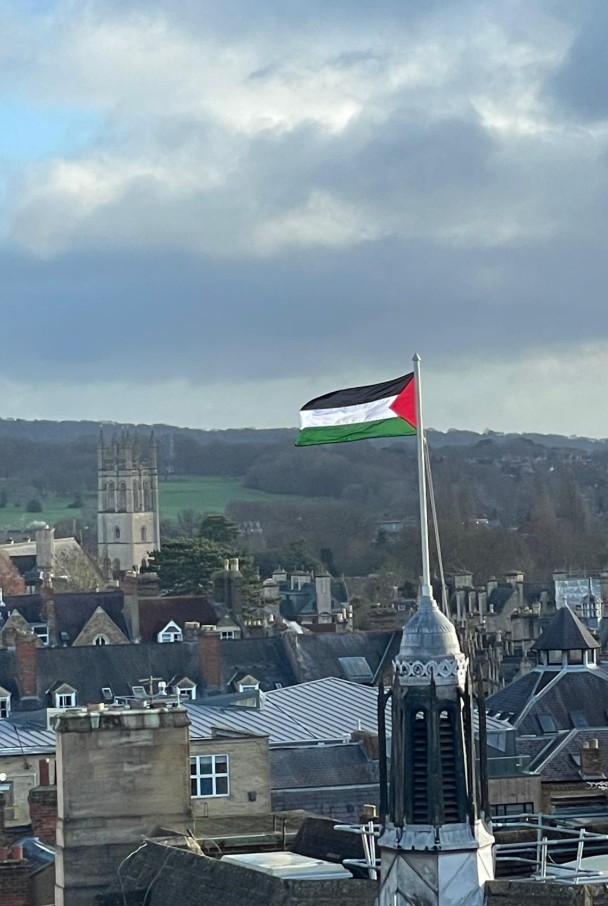 Palestine Flag Dp