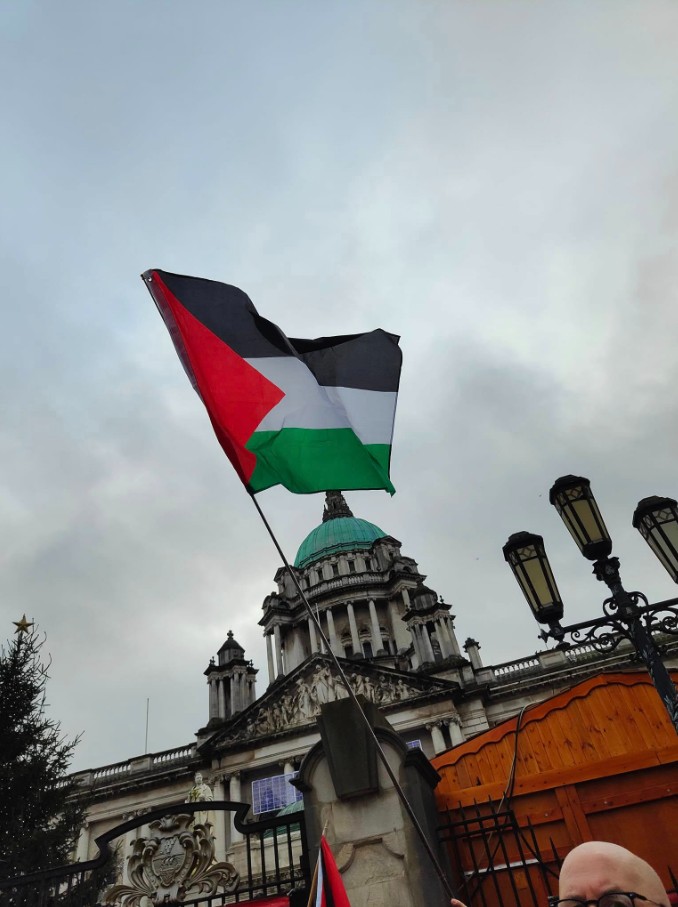 Palestine Flag Dp