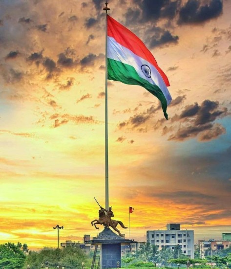 Indian Flag Dp