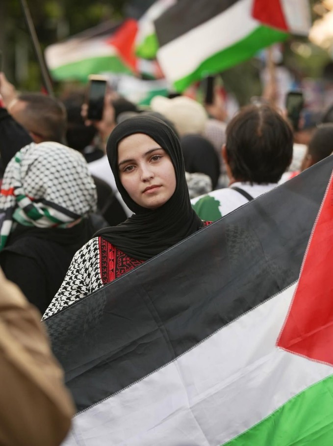Palestine Flag Dp