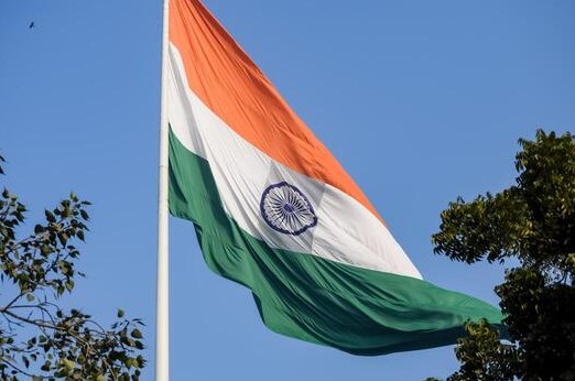 Indian Flag Dp