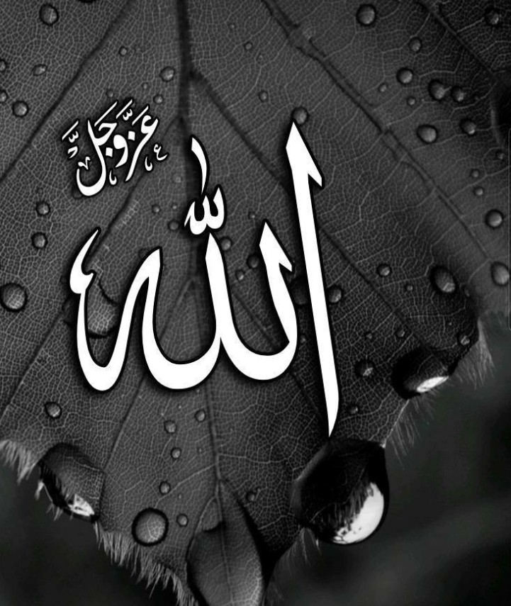 Allah Dp