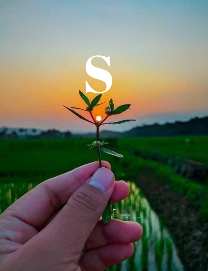 S Letter DP