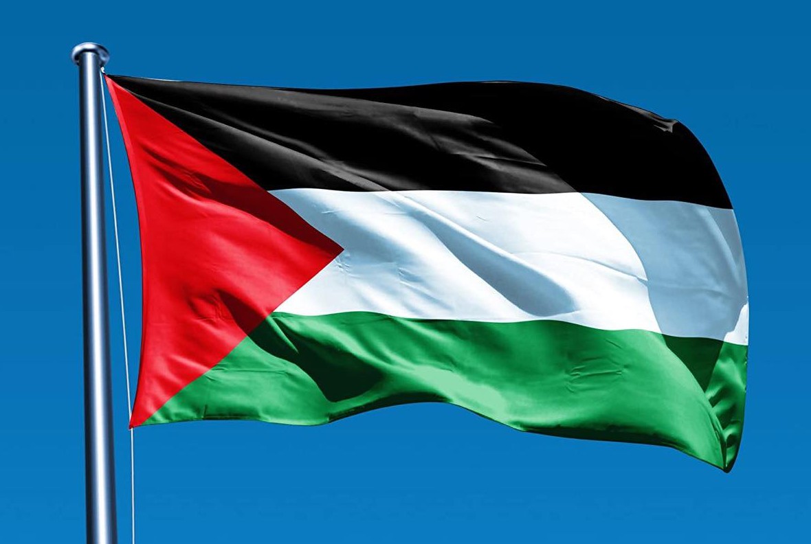 Palestine Flag Dp