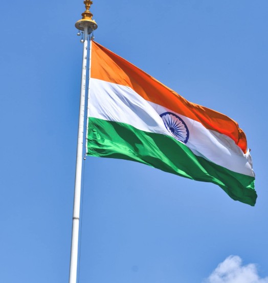 Indian Flag Dp
