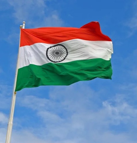Indian Flag Dp