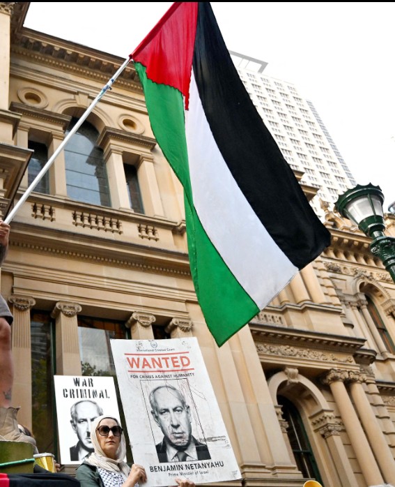 Palestine Flag Dp