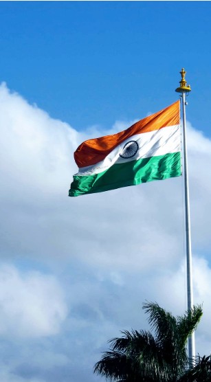 Indian Flag Dp