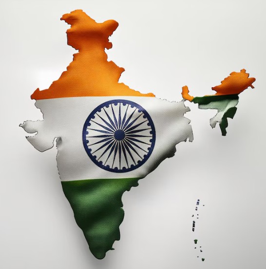 Indian Flag Dp