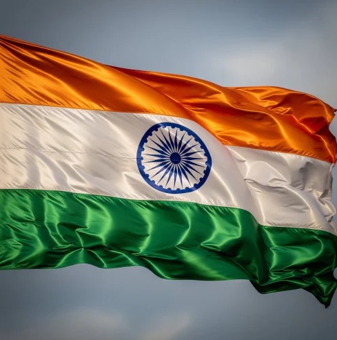 Indian Flag Dp