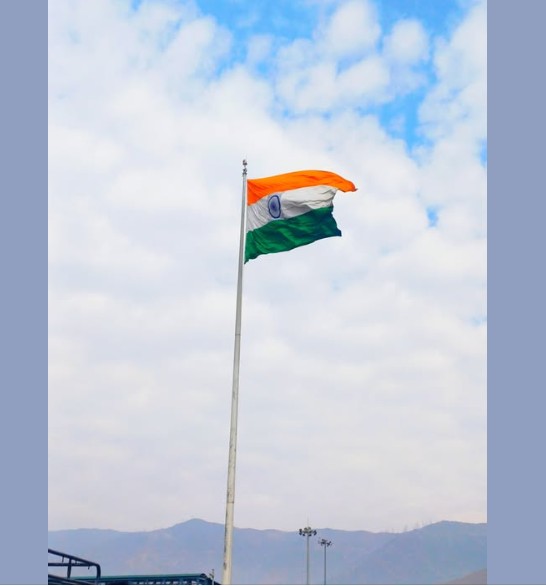 Indian Flag Dp